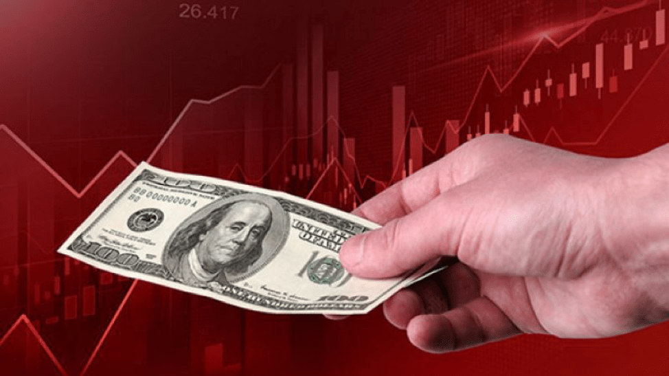 How Does Money Trader Work? Explanation On Currency Trading And The System